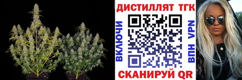 ТГК Wax Сочи