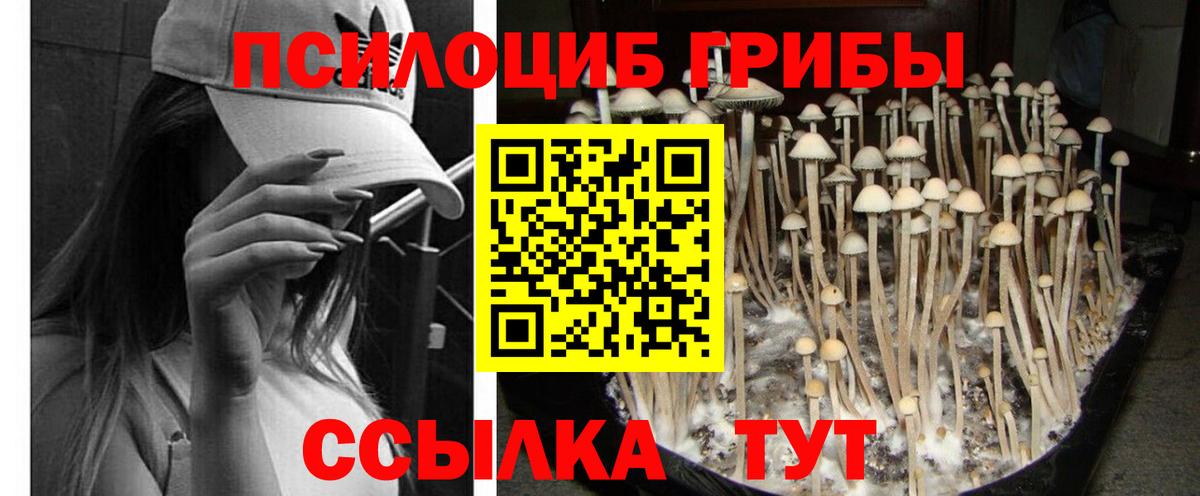 Alpha PVP СОЛЬ кристаллы  ГАШ  МЕФ кристаллы  NBOMe  ГАШ  Конопля  Экстази  COCAIN  Сочи  Вход с VPN 