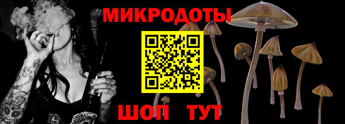 Галлюциногенные грибы прущие грибы  Вход с VPN  Сочи 